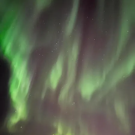 Aurora North Tromsø